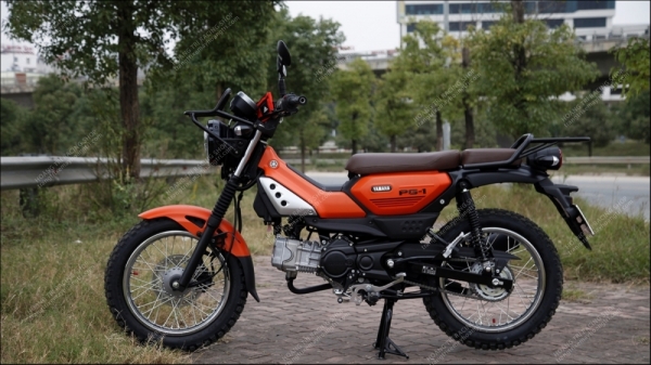 Cân cảnh chi tiết Yamaha PG-1