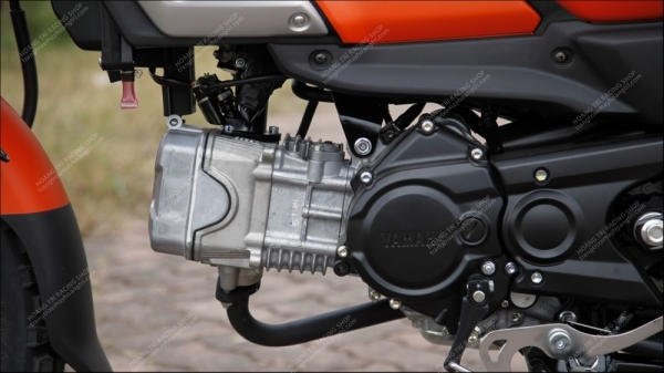 Cân cảnh chi tiết Yamaha PG-1