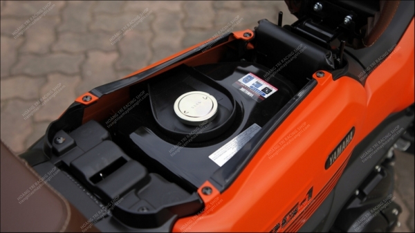 Cân cảnh chi tiết Yamaha PG-1