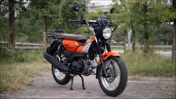 Cân cảnh chi tiết Yamaha PG-1