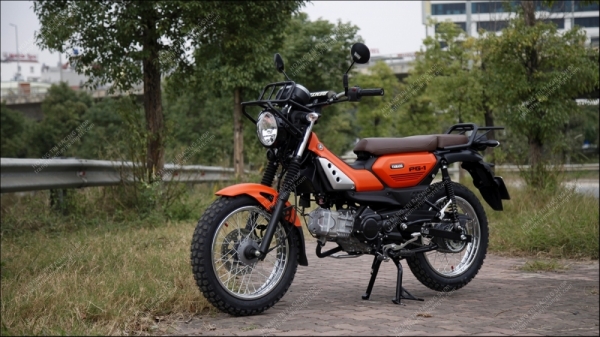Cân cảnh chi tiết Yamaha PG-1
