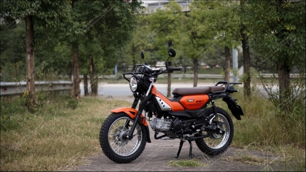 Cân cảnh chi tiết Yamaha PG-1